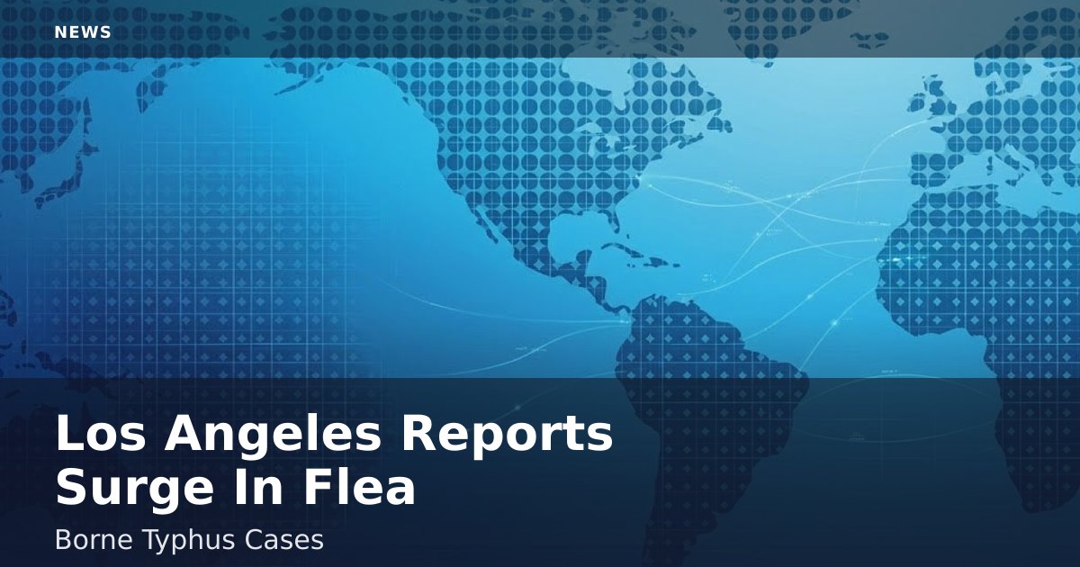 Los Angeles Reports Surge In Flea-Borne Typhus Cases